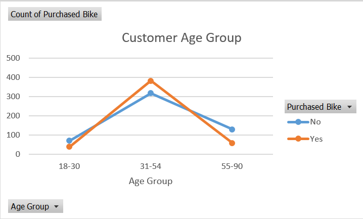 Customer Age Group Chart